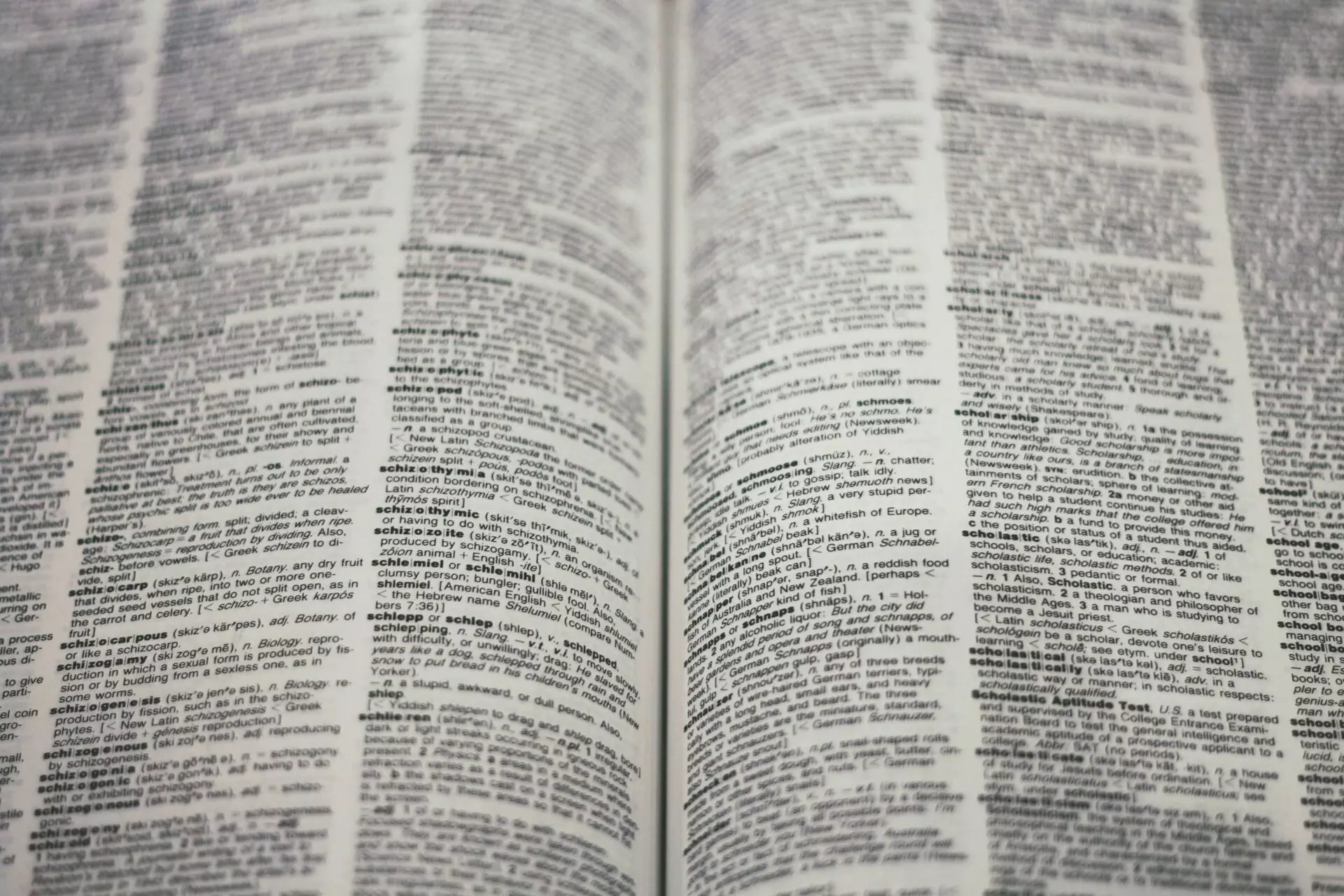 A picture of a dictionary open to a random page.